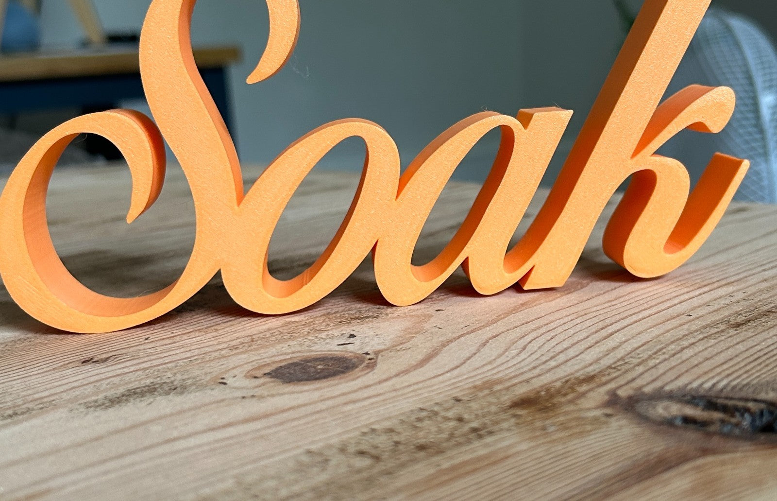 Soak Sign Word Bathroom Letters Ornament FreeStanding Custom made - Poppy Kate Designs