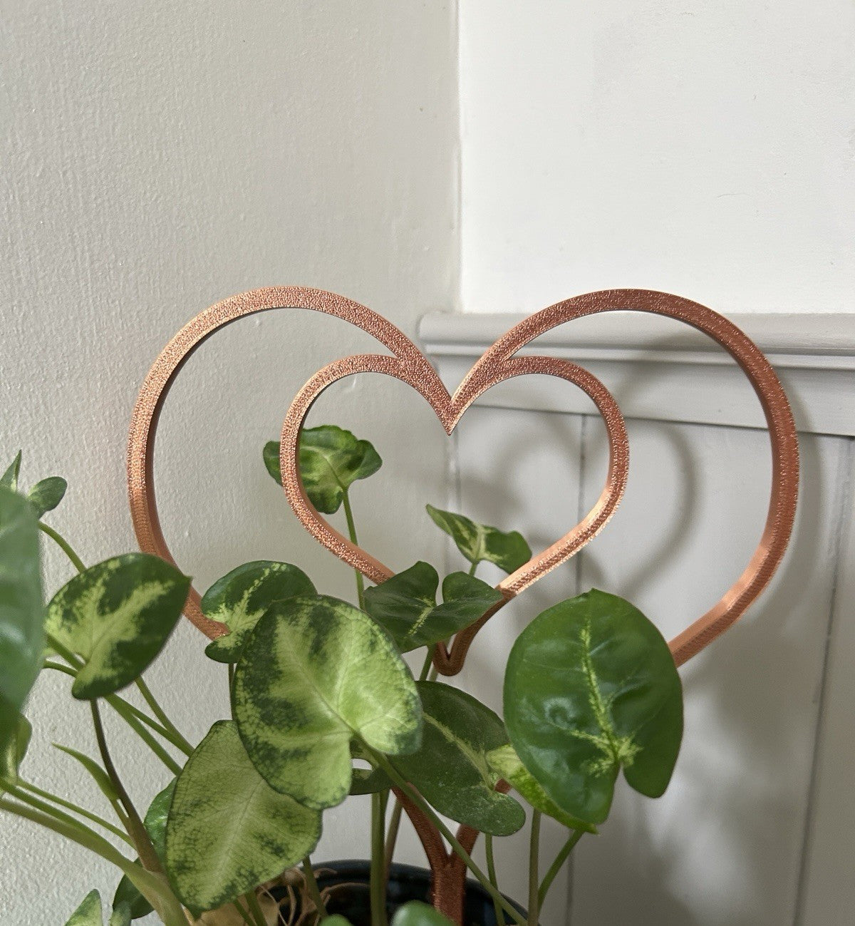 Plant Support Frame Climbing Trailing trellis Various Shapes and Colours - Poppy Kate Designs