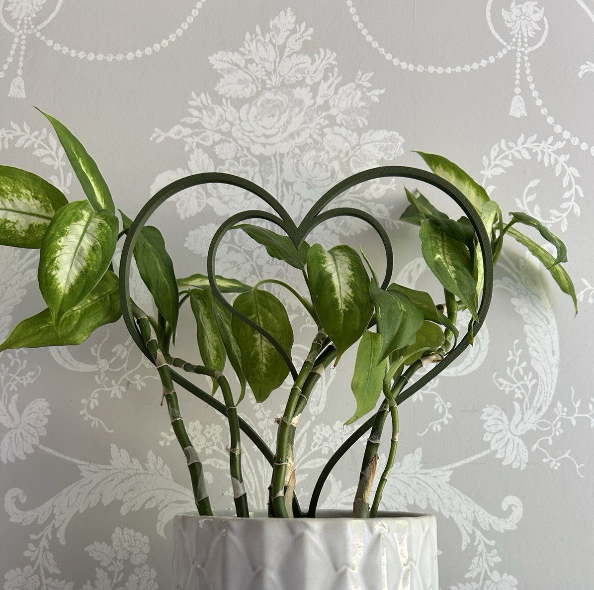 House Plant Support for trailing stems Indoor Plants Heart Home Decor - Poppy Kate Designs