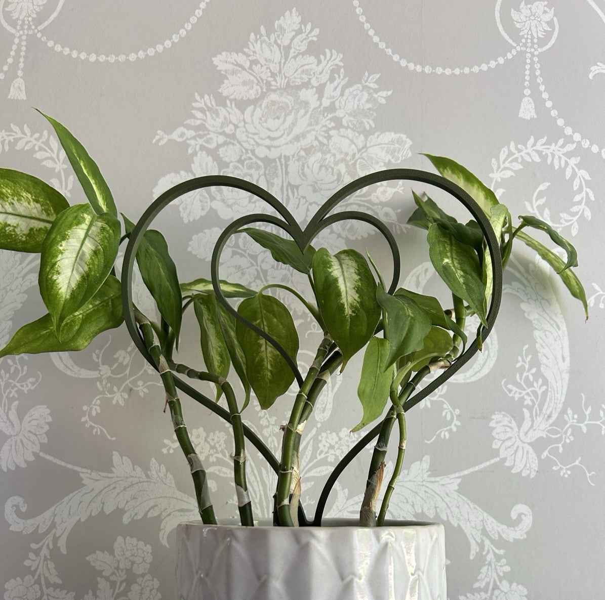 House Plant Leaf Stem Support Trellis Plant Accessories Gift Plant Lover Present