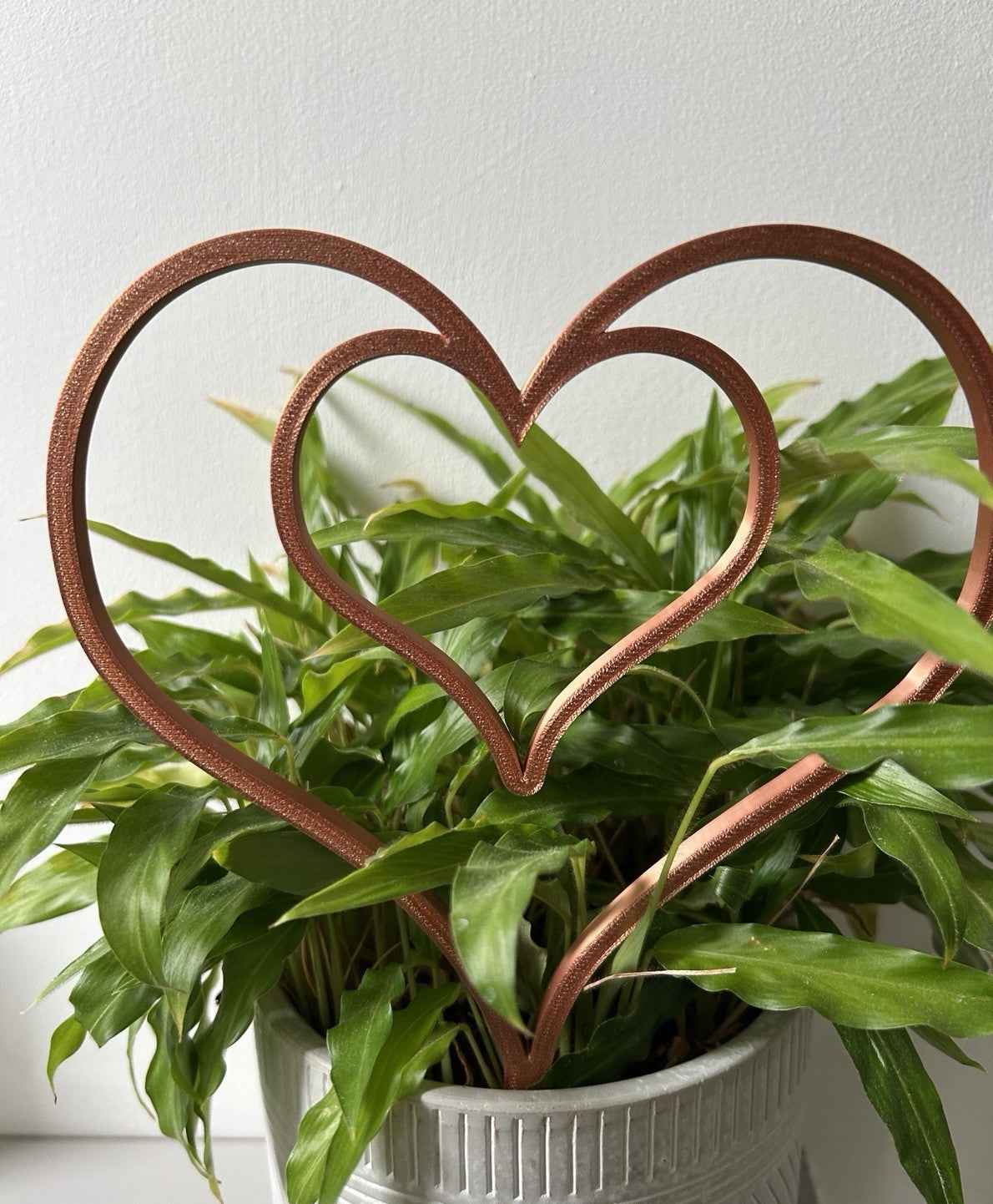 House Plant Leaf Stem Support Trellis Plant Accessories Gift Plant Lover Present