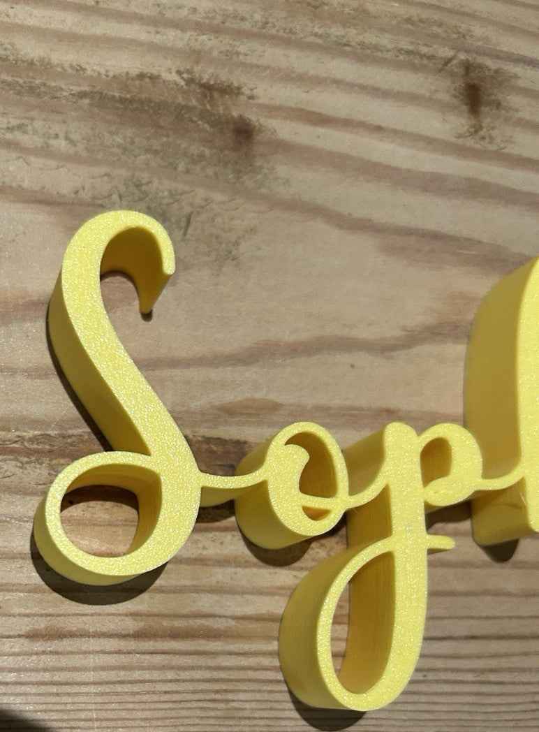 Personalised Names Plaque Door Desk Name Place Custom Made Words Any Text Size