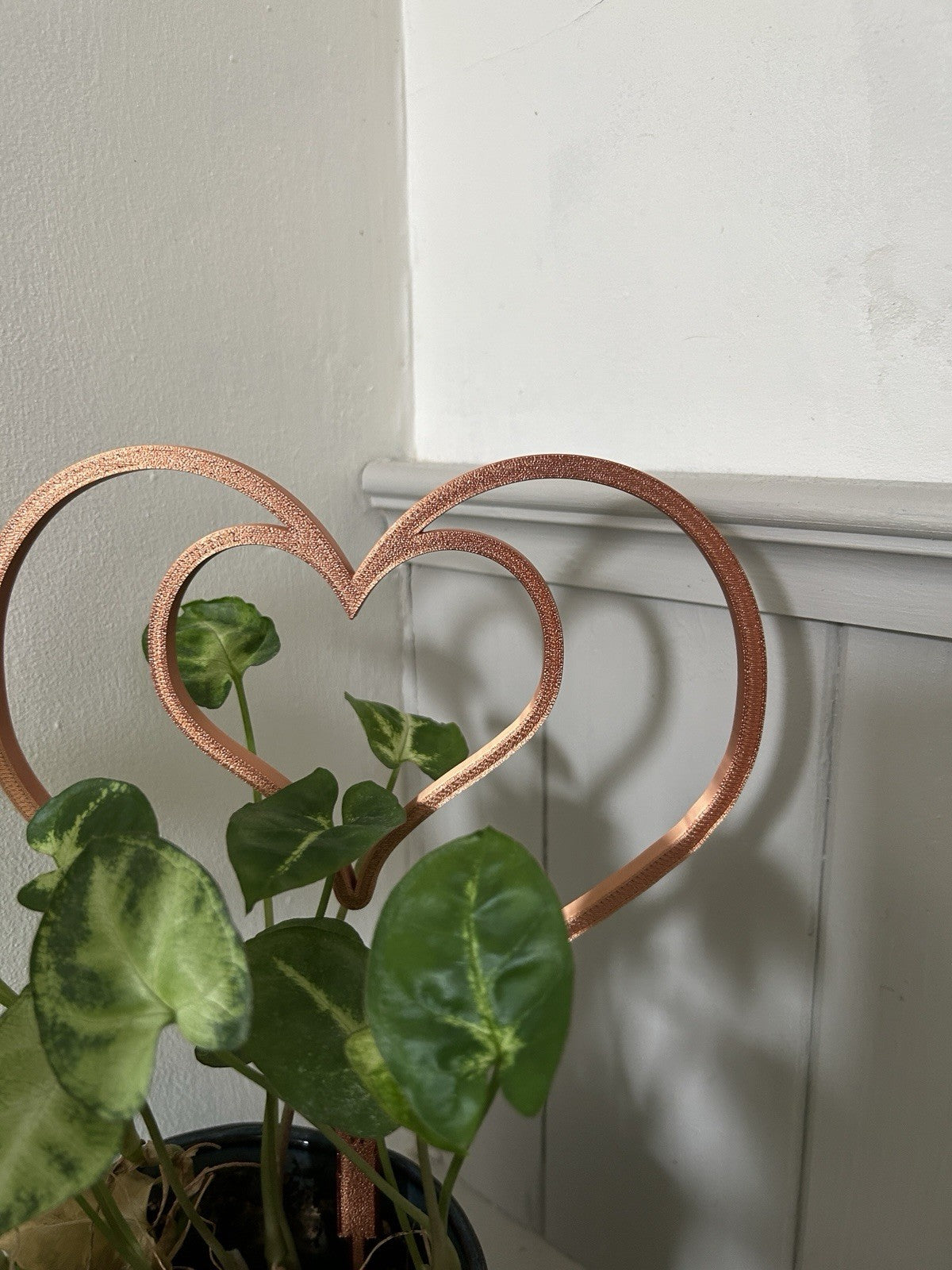 Plant Support Frame Climbing Trailing trellis Various Shapes and Colours - Poppy Kate Designs