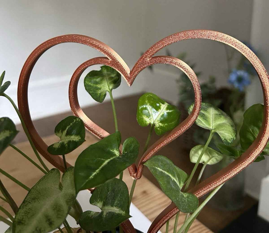 Heart Houseplant Support Trellis – 25cm or 29cm Plant Stakes