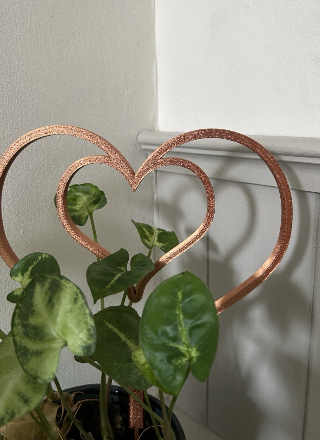 Small House Plant Support Frame climbing trailing Indoor Plants Heart Decoration - Poppy Kate Designs